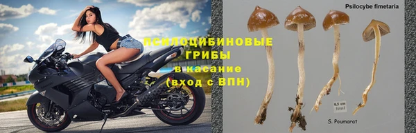 круглые Алзамай