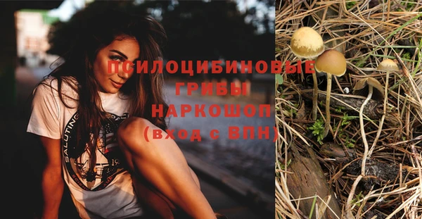 круглые Алзамай