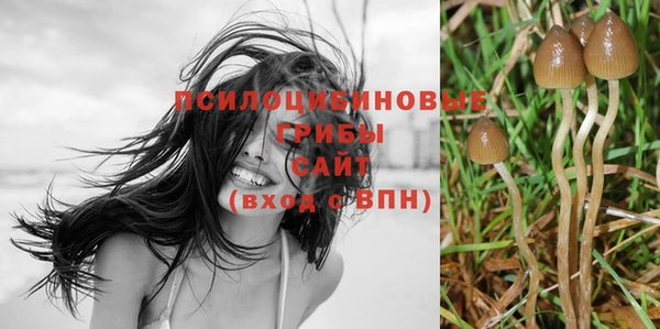 герыч Алексин